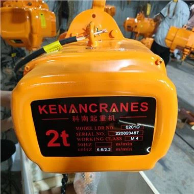 1 tonos elektrinis keltuvas