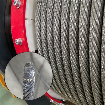 Krano vielinis lynas